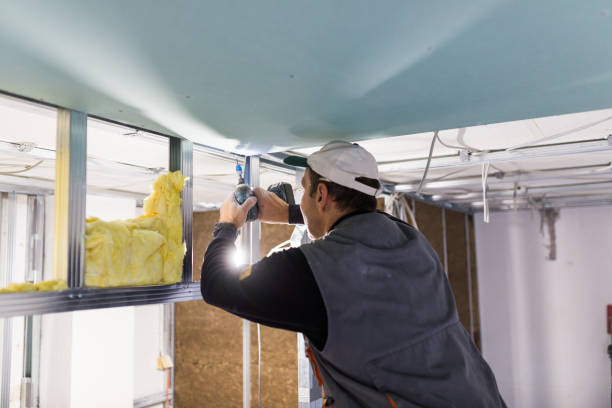 Best Insulation Materials and Products in Muleshoe, TX